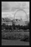 les tuileries 01