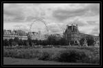 les tuileries 02