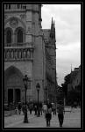 notre dame 12