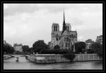 notre dame 28