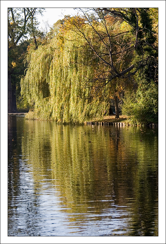 bois_de_vincennes_02.jpg