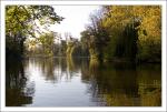 bois de vincennes 01