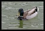 jardin du luxembourg 04