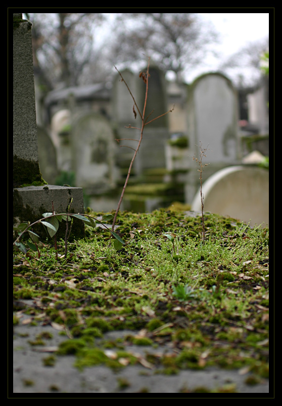 pere_lachaise_13.jpg