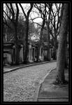 pere lachaise 04