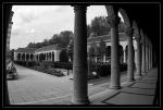 pere lachaise 29