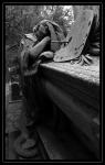 pere_lachaise_36.jpg