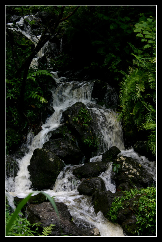 anse_des_cascades_04.jpg