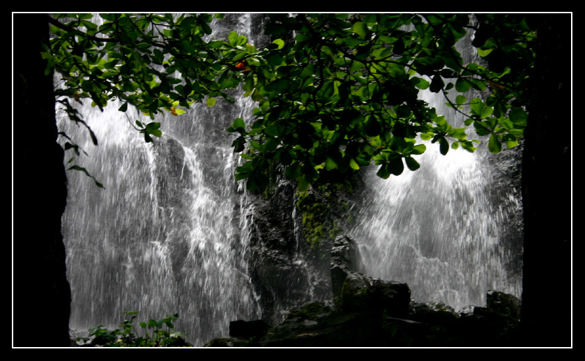 anse_des_cascades_06.jpg