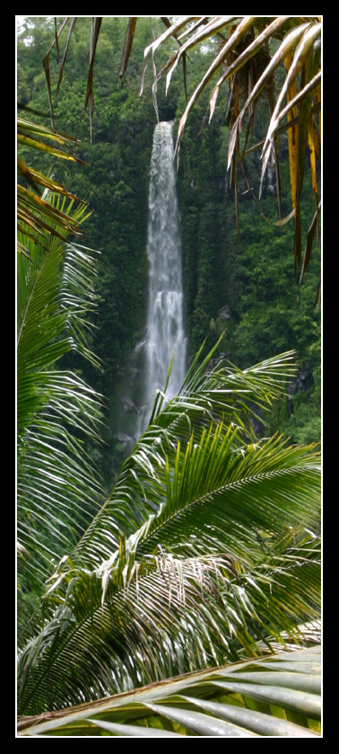 anse_des_cascades_28.jpg